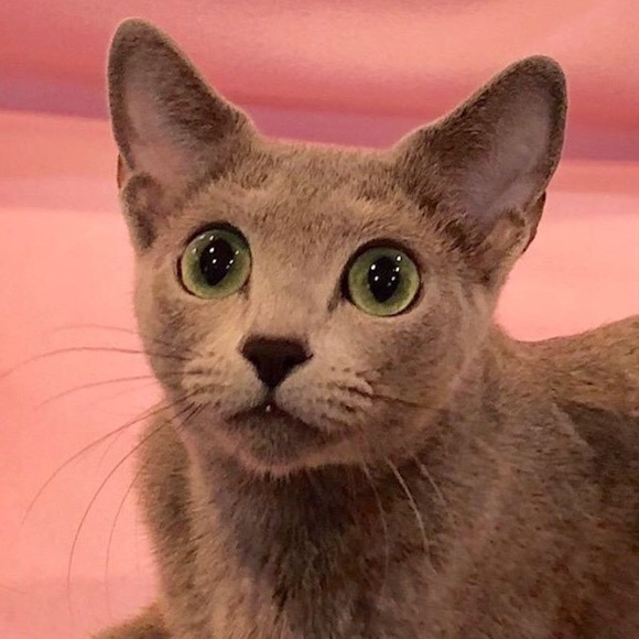 Meet your Posher, Margie - Picture 1 of 1